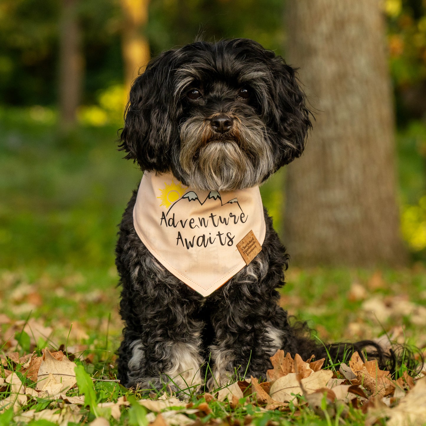 Jax’s Trailblazer Reversible Bandana