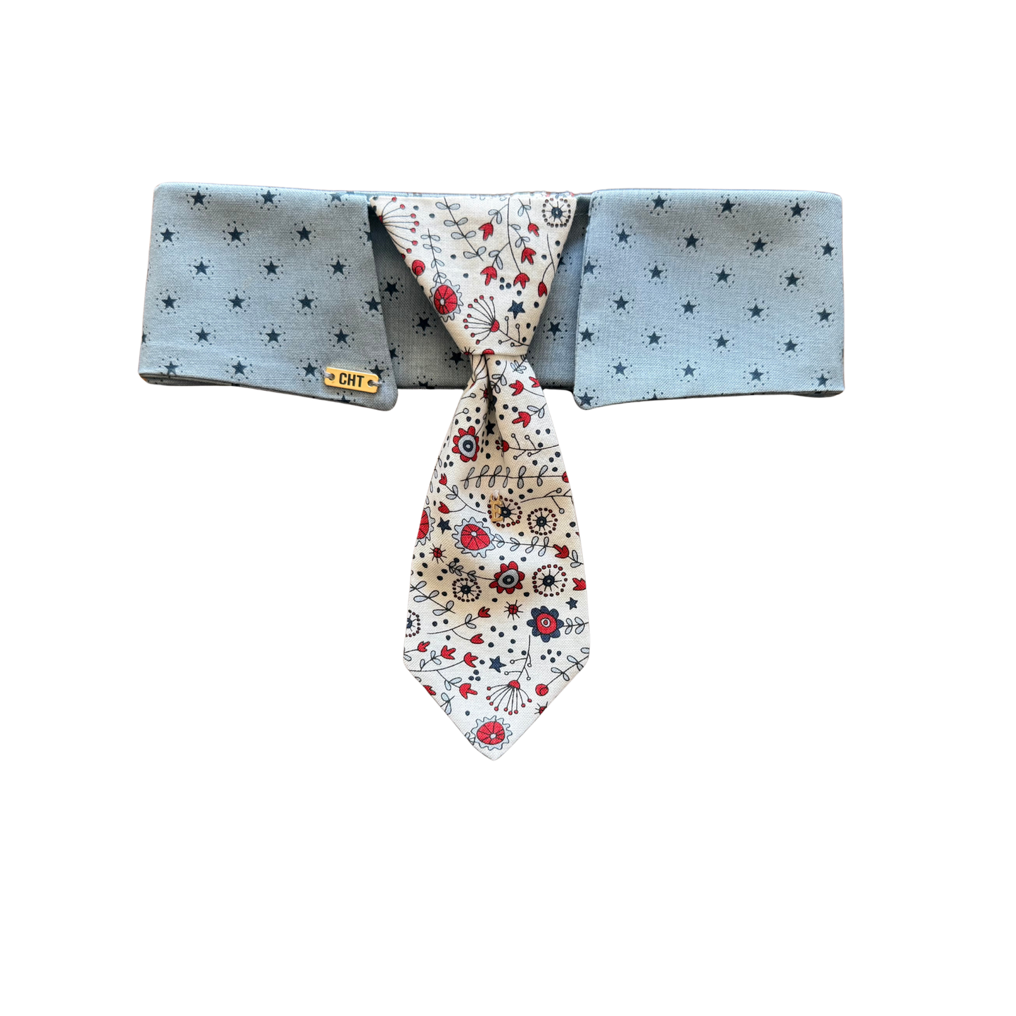 Porch Picnic Gentleman Collar & Tie