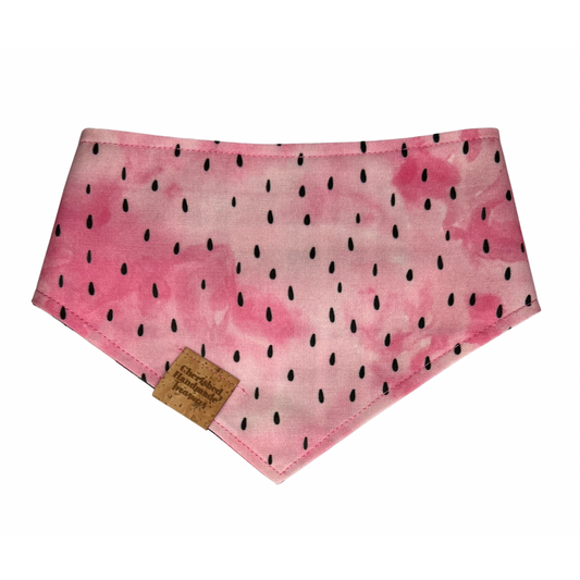 Watermelon Whimsy Reversible Bandana