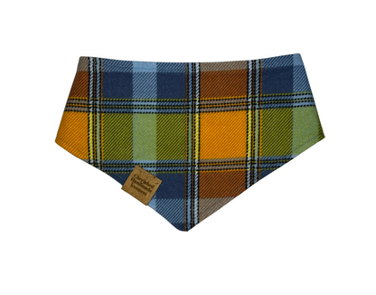 Harvest Hues Reversible Bandana