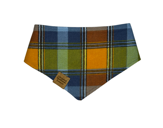 Harvest Hues Reversible Bandana