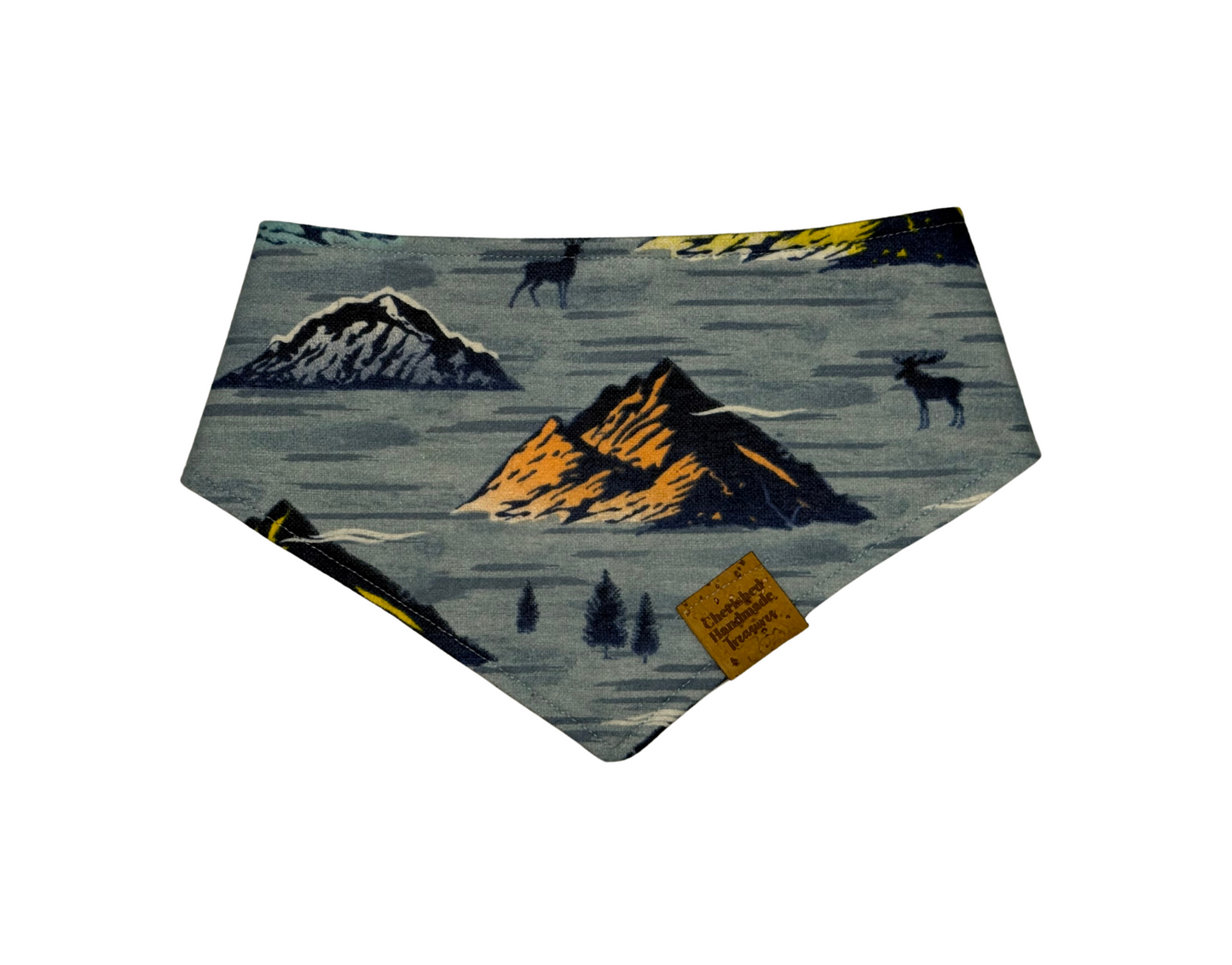 Harvest Hues Reversible Bandana