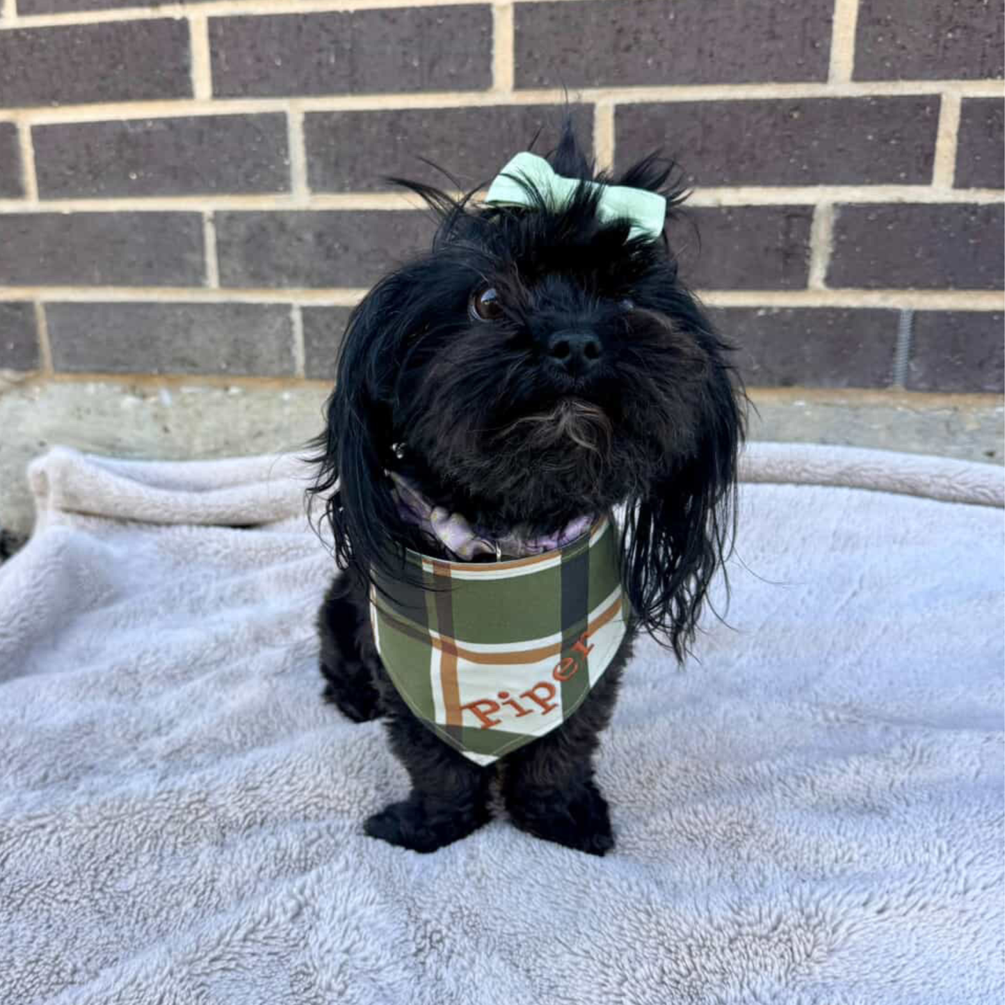 Piper's Love Ewe Reversible Bandana