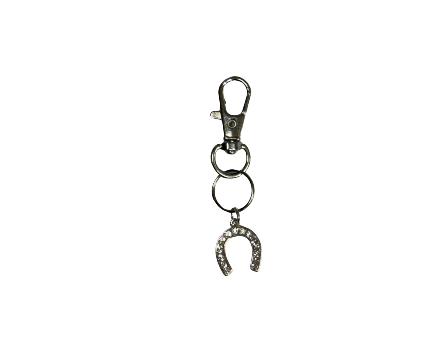 Lucky Horseshoe Collar Charm