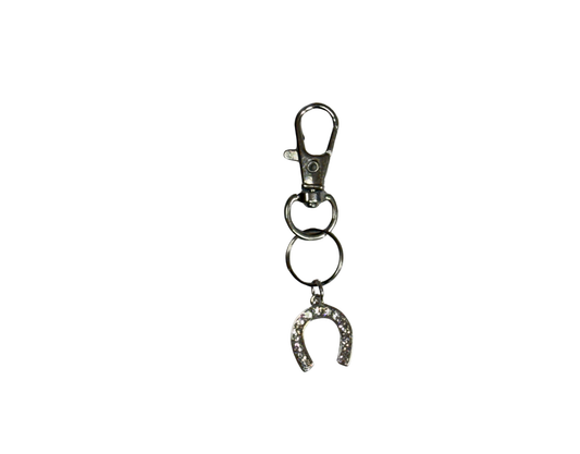 Lucky Horseshoe Collar Charm