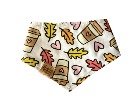 Autumn Blush Reversible Bandana