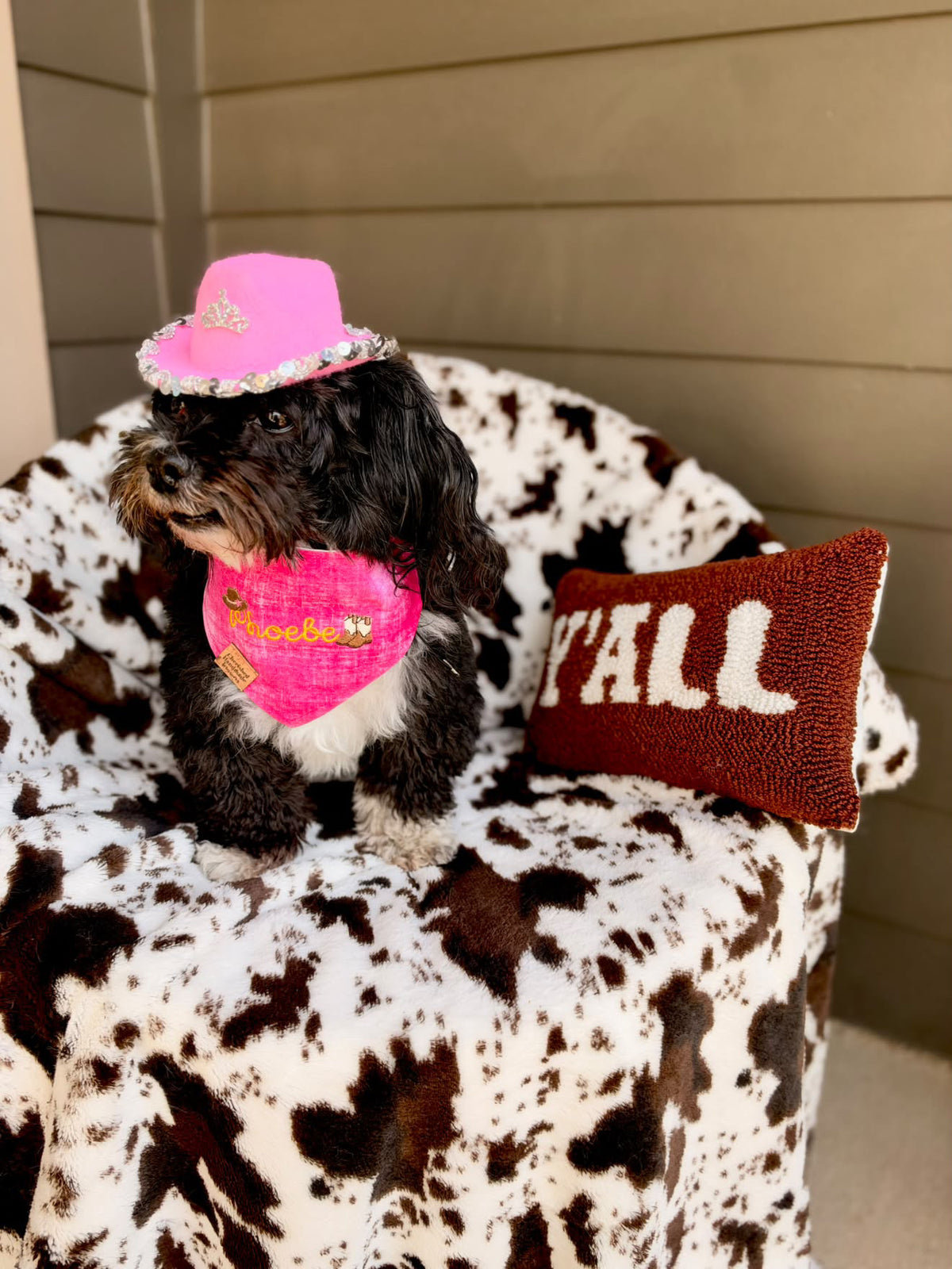 Phoebe's Rhinestones and Rodeos Reversible Bandana