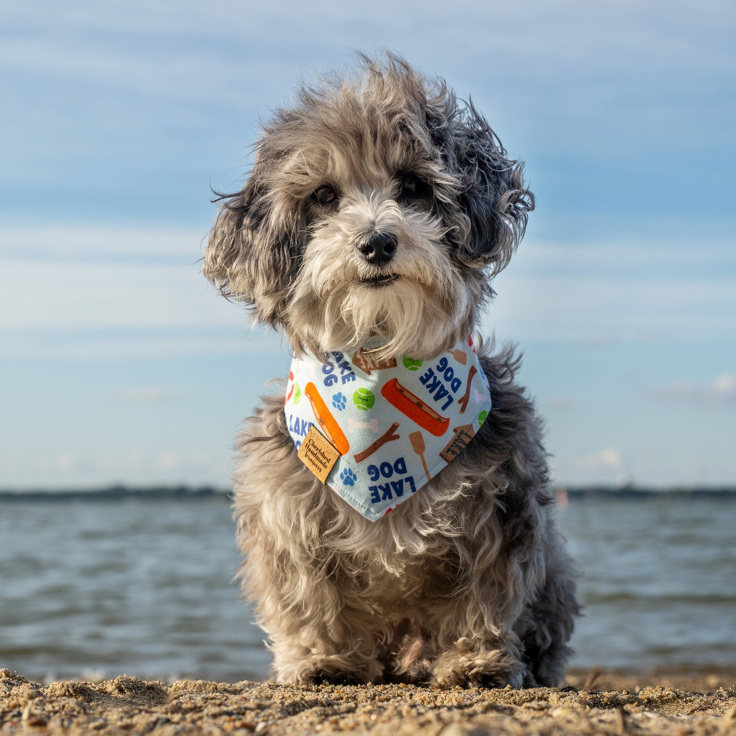 Phoenix’s Lake Day Vibes Reversible Bandana