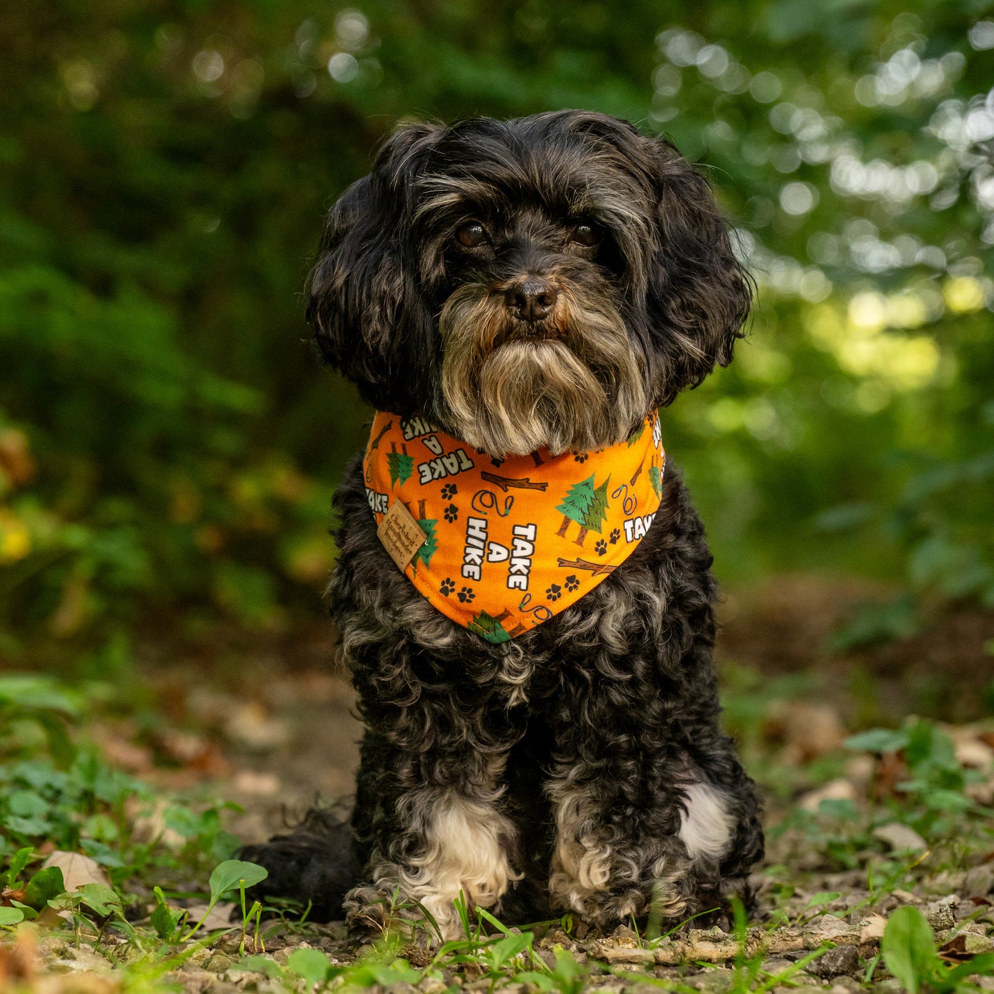 Jax’s Trailblazer Reversible Bandana