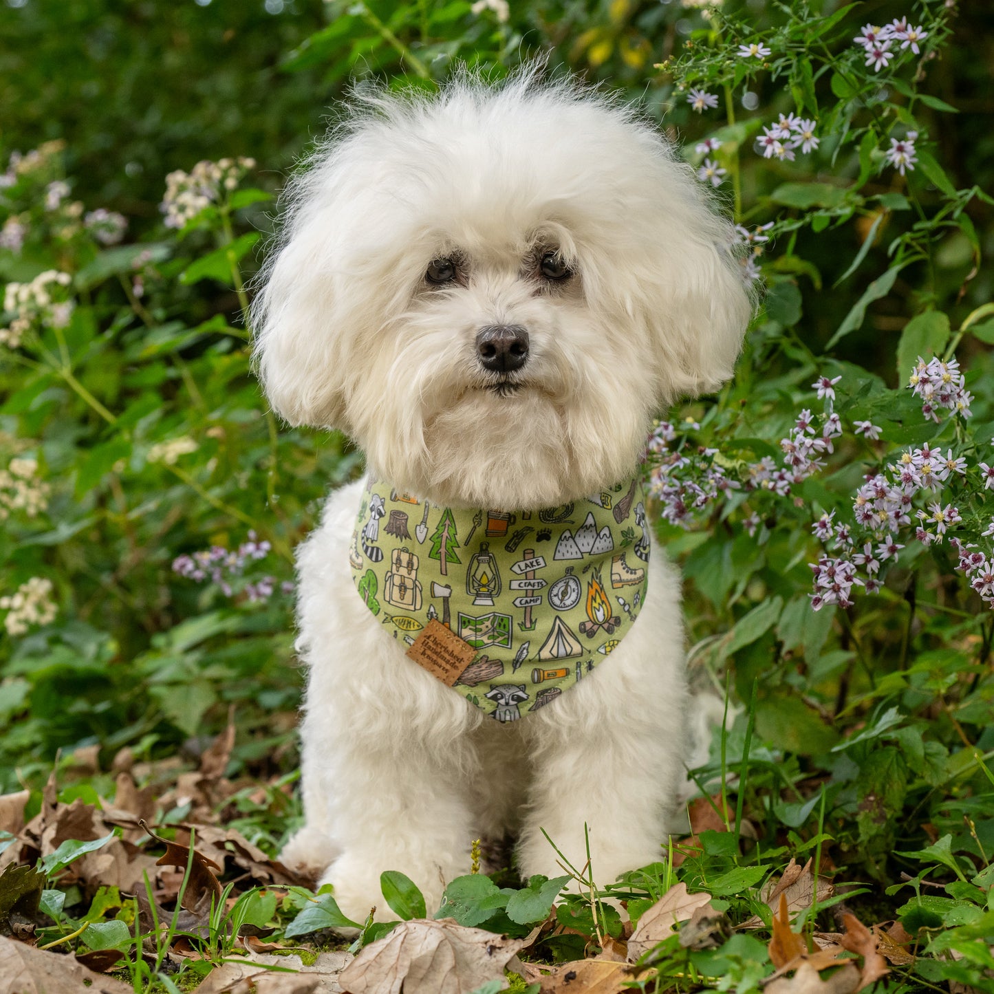 Bruiser’s Campfire Companion Reversible Bandana