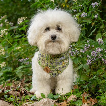 Bruiser’s Campfire Companion Reversible Bandana