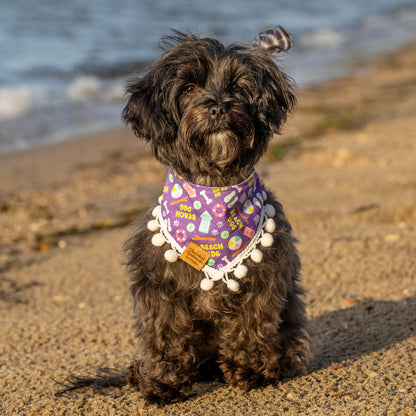 Bianca’s Sandy Paws Reversible Bandana