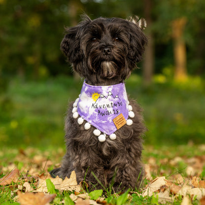 Bianca’s Sandy Paws Reversible Bandana
