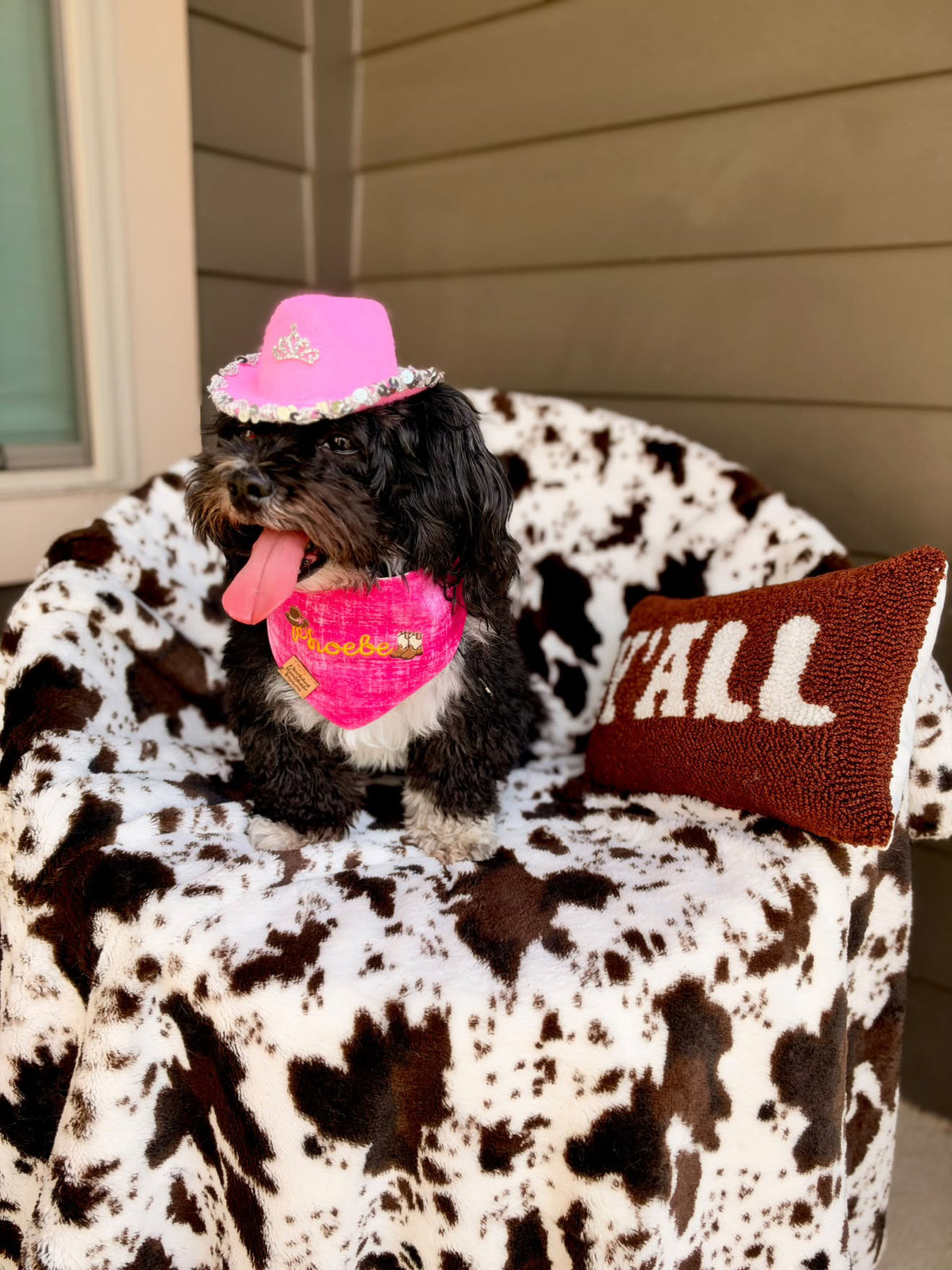 Phoebe's Rhinestones and Rodeos Reversible Bandana